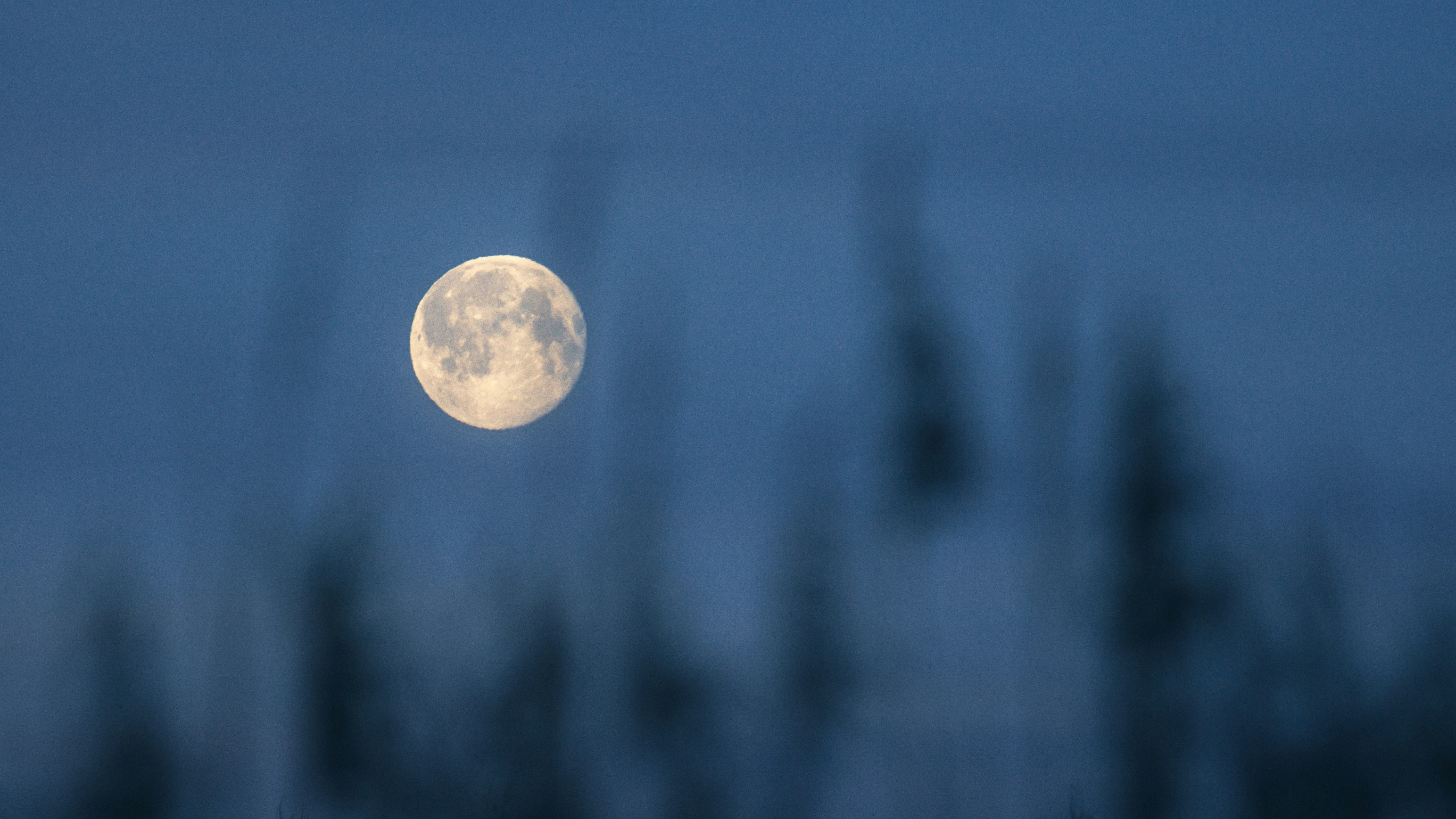 full moon in the sky